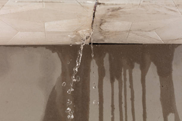 Professional Flood Damage Cleanup technician working in Silex, MO